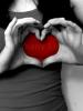 ������ ������� ����� ���������